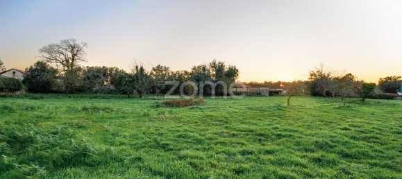 Terrain à Gemeses, Portugal 12700m² No. 54453 8