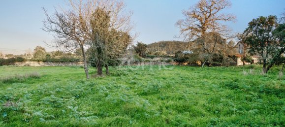 Terrain à Gemeses, Portugal 12700m² No. 54453 12