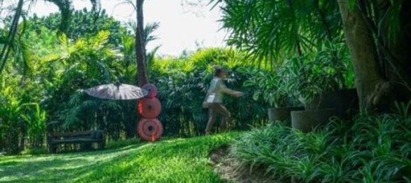 Café / restaurante T2 em Chiang Mai, Thailand N.º 12251 28