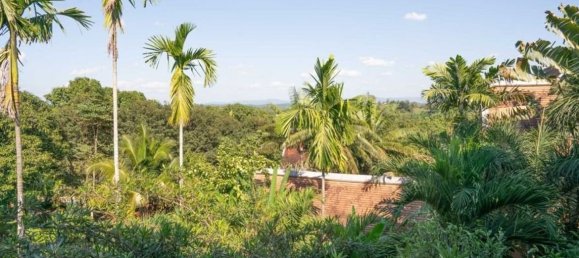 Café / restaurante T2 em Chiang Mai, Thailand N.º 12251 25