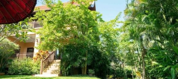 Café / restaurante T2 em Chiang Mai, Thailand N.º 12251 29