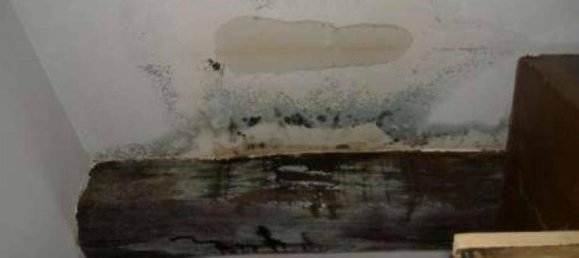 1 bedroom Apartment in Robecchetto con Induno, Italy No. 276195 37