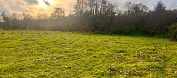 6 rooms House in Maine-et-Loire, France No. 175651 5