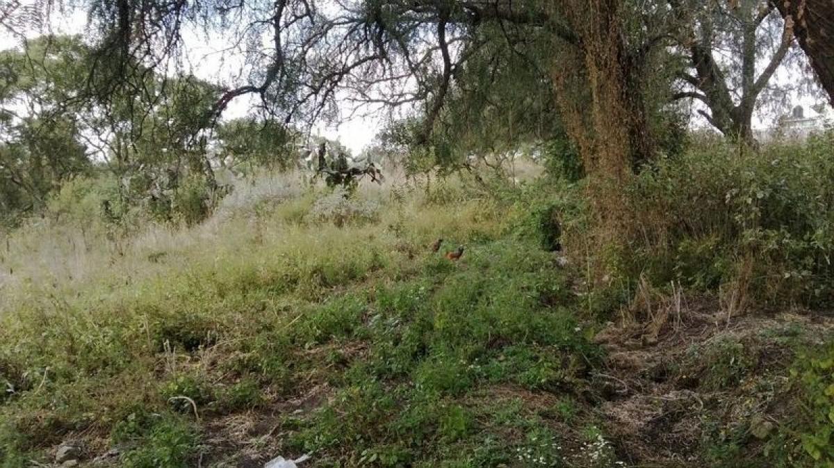  Land in Tepotzotlan, Mexico No. 205788