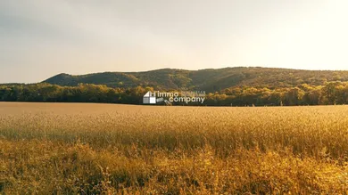  Land in Hundsheim, Austria No. 65651