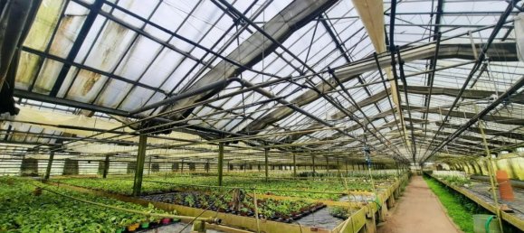 25000m² Land in Cerreto Guidi, Italy No. 90701 9