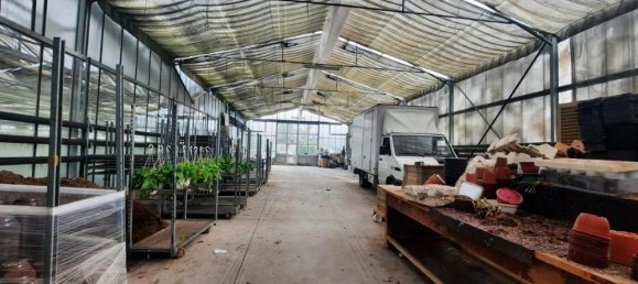 25000m² Land in Cerreto Guidi, Italy No. 90701 3