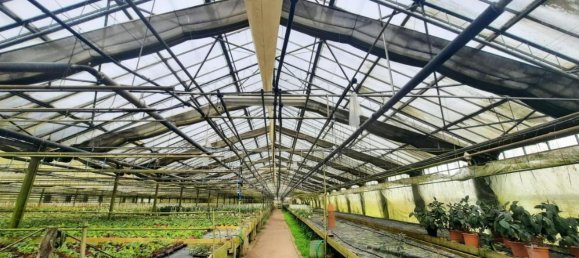 25000m² Land in Cerreto Guidi, Italy No. 90701 11