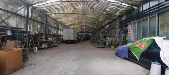 25000m² Land in Cerreto Guidi, Italy No. 90701 5