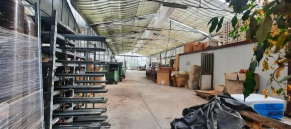 25000m² Land in Cerreto Guidi, Italy No. 90701 4