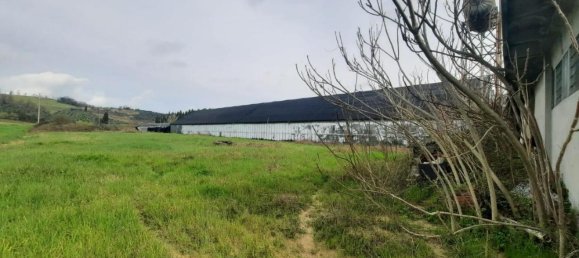 25000m² Land in Cerreto Guidi, Italy No. 90701 10