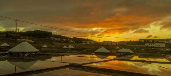 6200m² Land in Rio Maior, Portugal No. 75881 7