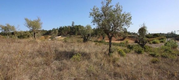 6200m² Land in Rio Maior, Portugal No. 75881 10