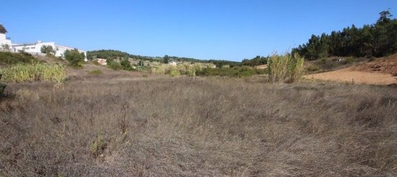 6200m² Land in Rio Maior, Portugal No. 75881 8