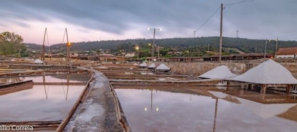 6200m² Land in Rio Maior, Portugal No. 75881 9