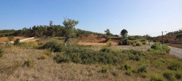 6200m² Land in Rio Maior, Portugal No. 75881 15
