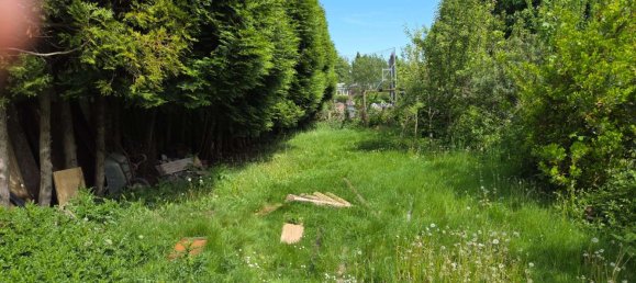 4 غرف نوم تاون هاوس في Grevenbroich, Germany رقم 278064 5