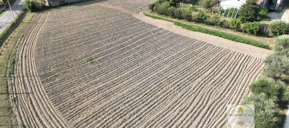 3 rooms Warehouse in Padua, Italy No. 176959 2