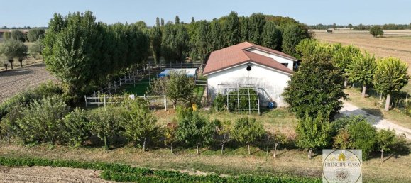 3 rooms Warehouse in Padua, Italy No. 176959 9