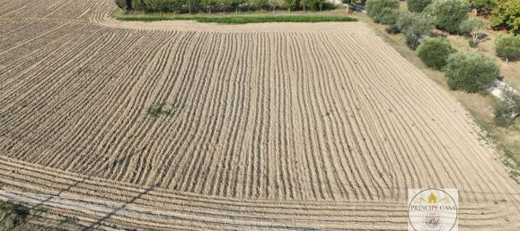 3 rooms Warehouse in Padua, Italy No. 176959 7