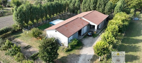 3 rooms Warehouse in Padua, Italy No. 176959 6