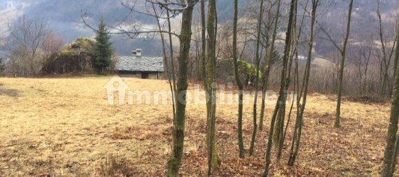 1 bedroom House in Gandellino, Italy No. 310721 7