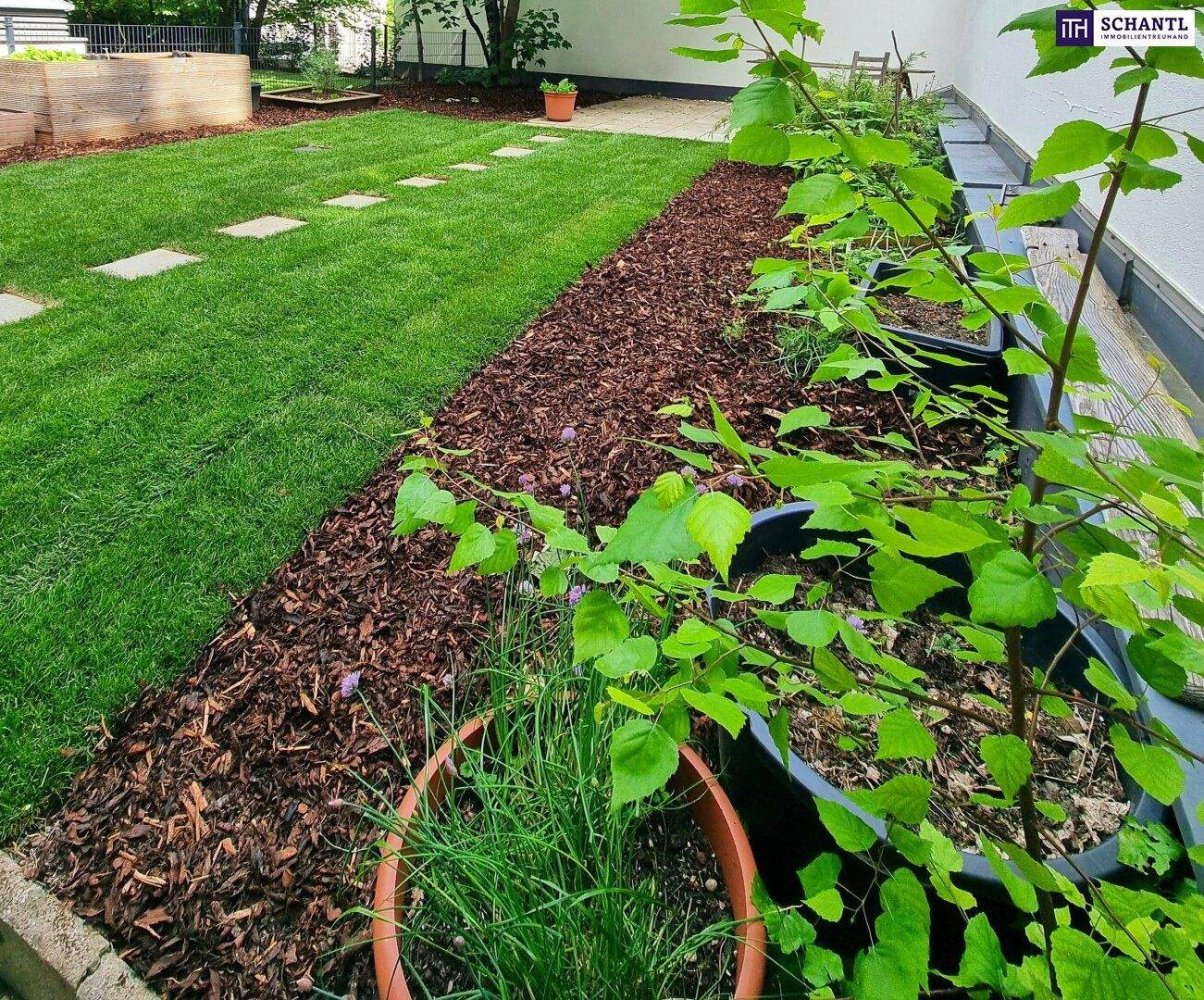 3 rooms Apartment in Wahring, Austria No. 129936