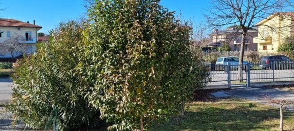 3 rooms Apartment in Misano Adriatico, Italy No. 275096 14