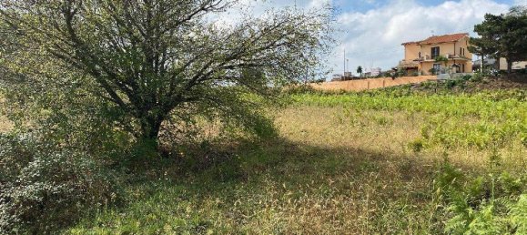 4-Zimmer Villa in Zungri, Italy, Nr. 19293 5