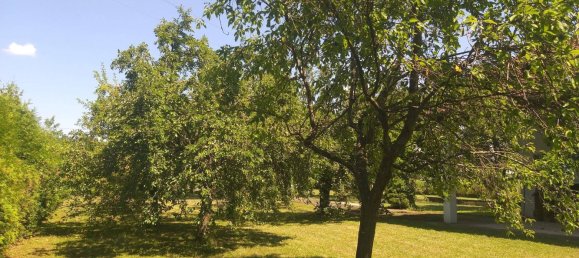 2غرفة منزل في Schachendorf, Austria رقم 149151 28