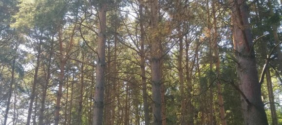 2غرفة منزل في Schachendorf, Austria رقم 149151 30