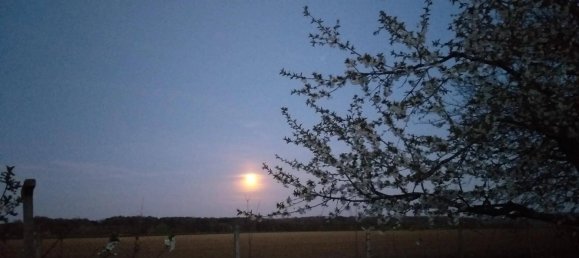 2غرفة منزل في Schachendorf, Austria رقم 149151 23