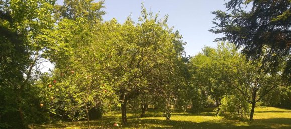 2غرفة منزل في Schachendorf, Austria رقم 149151 27