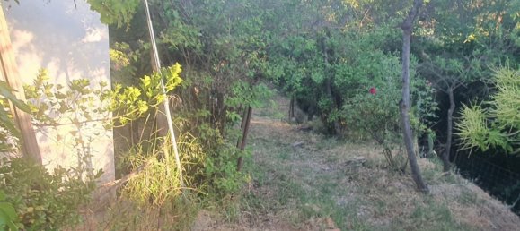 51m² Land in Almeria, Spain No. 163101 4