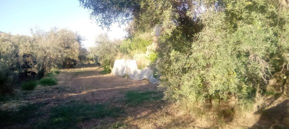 51m² Land in Almeria, Spain No. 163101 14