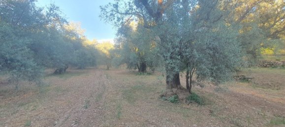 51m² Land in Almeria, Spain No. 163101 8