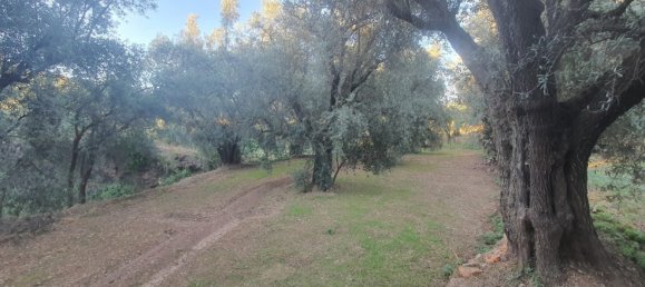 51m² Land in Almeria, Spain No. 163101 7