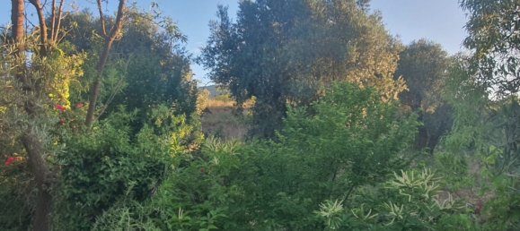 51m² Land in Almeria, Spain No. 163101 3