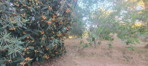 51m² Land in Almeria, Spain No. 163101 6