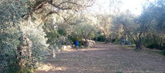 51m² Land in Almeria, Spain No. 163101 15