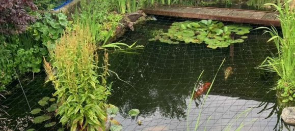 Casa de 3 dormitorios en Dithmarschen, Germany No. 259834 28