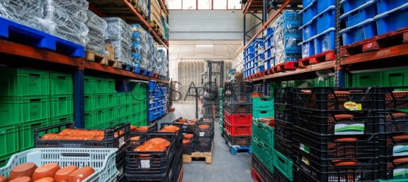 650m² Warehouse in Loures, Portugal No. 204463 20
