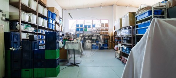 650m² Warehouse in Loures, Portugal No. 204463 25
