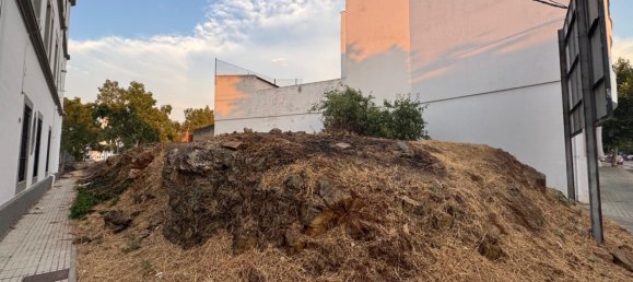 913m² Land in Merida, Spain No. 168971 5