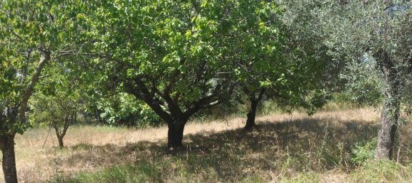 165m² Land in Casale Marittimo, Italy No. 273143 4