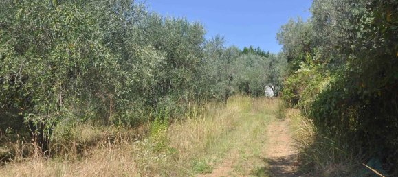 165m² Land in Casale Marittimo, Italy No. 273143 5
