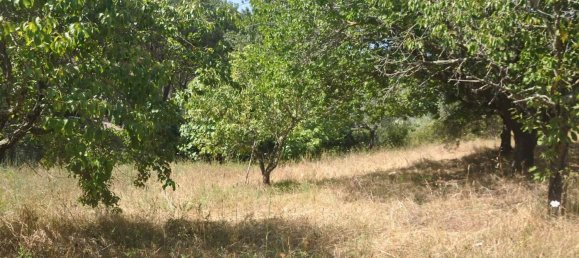 165m² Land in Casale Marittimo, Italy No. 273143 2