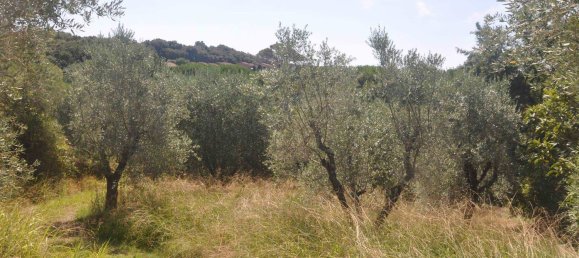 165m² Land in Casale Marittimo, Italy No. 273143 3