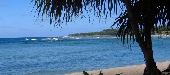 1 bedroom Villa in Port-Vila, Vanuatu No. 6 3