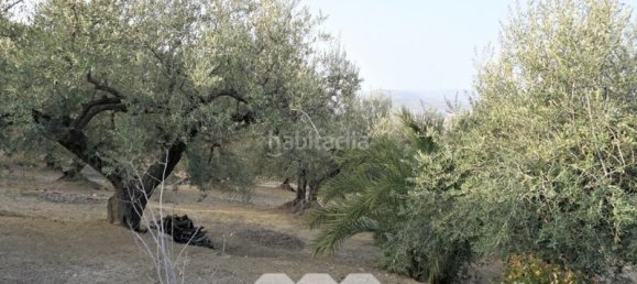 3 bedrooms House in Alcaucin, Spain No. 45177 38